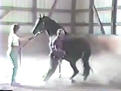 Big horse dick got tamed and sucked by two sluts